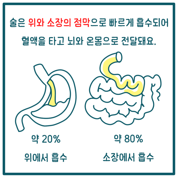 4790ab2a2580f2b54b96e431d285f35b_1785807397_1962.png