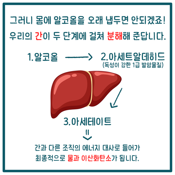 4790ab2a2580f2b54b96e431d285f35b_1785807397_2842.png